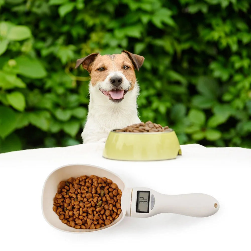 Measuring Tool Dog Feeding Bowl